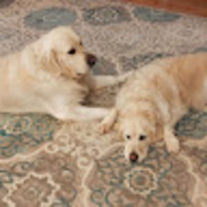 Meet your Posher, Paulette